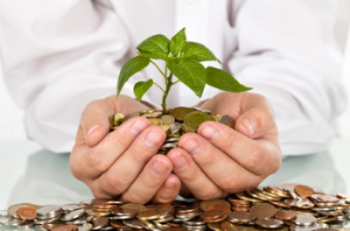 Hands holding coins with plant growing 